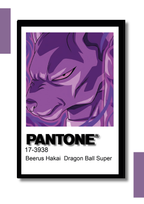 Cuadro Decorativo Pantone Bills – Dragon Ball Super