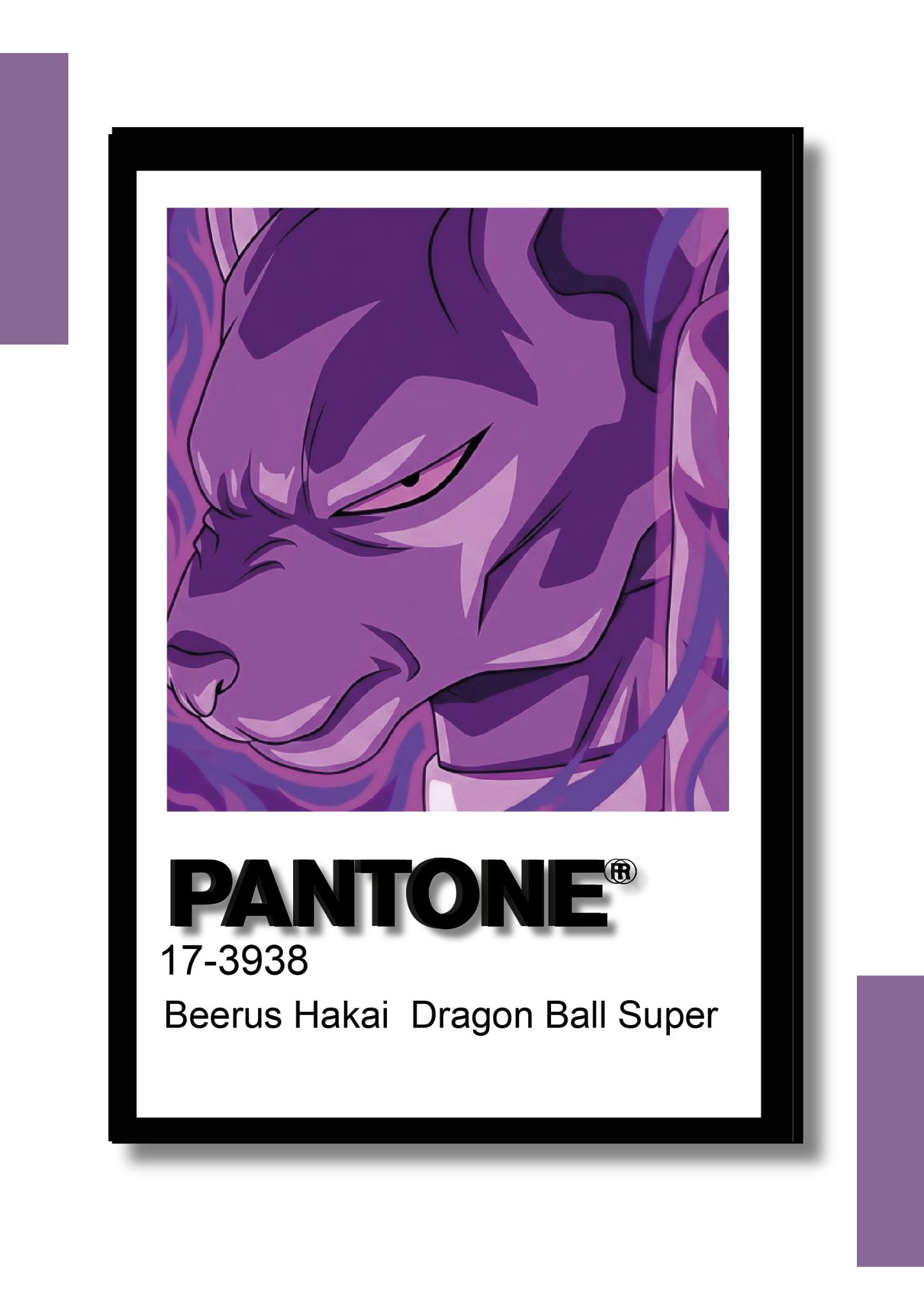 Cuadro Decorativo Pantone Bills – Dragon Ball Super
