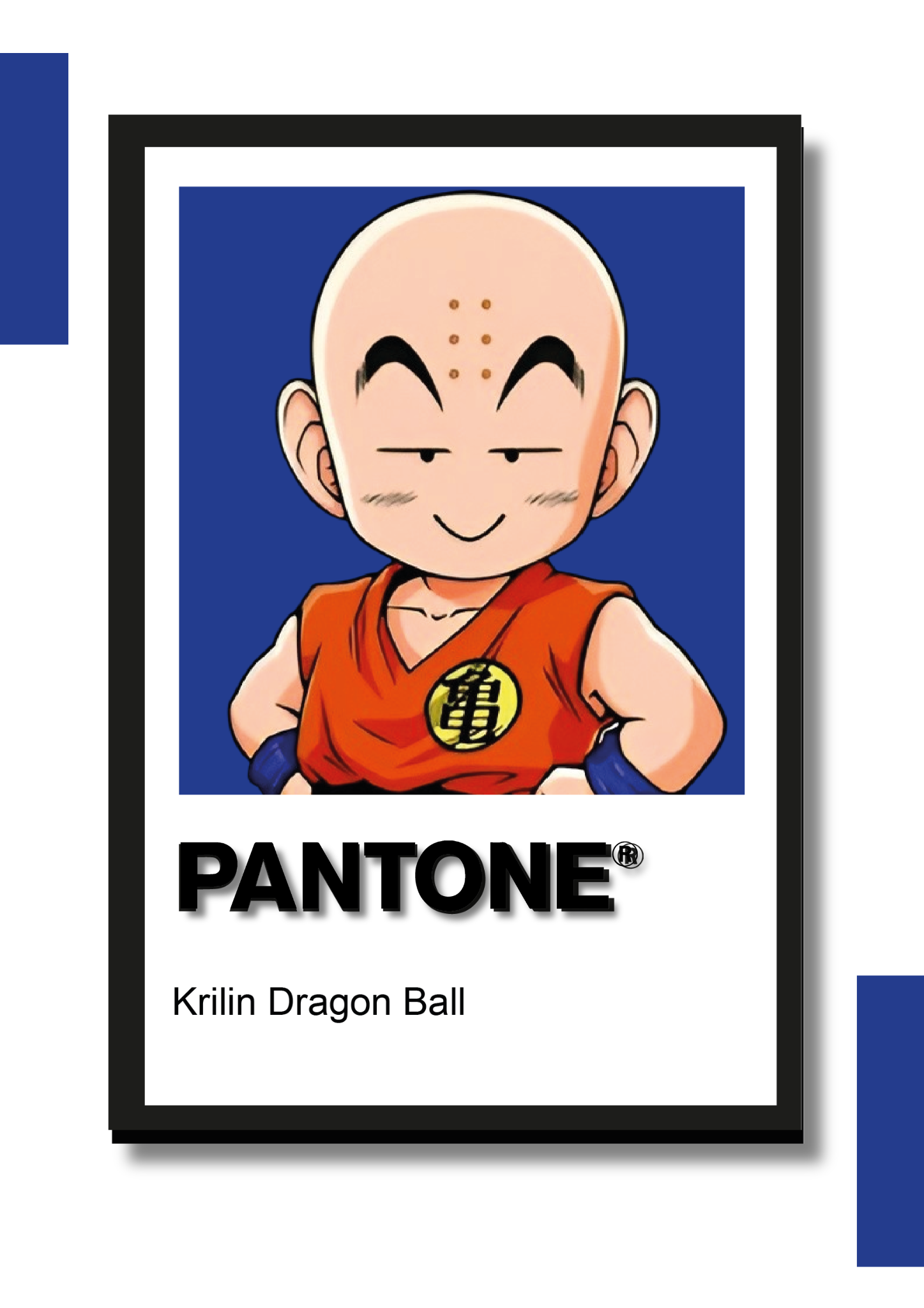 Cuadro Decorativo Pantone Krilin - Dragon Ball Z
