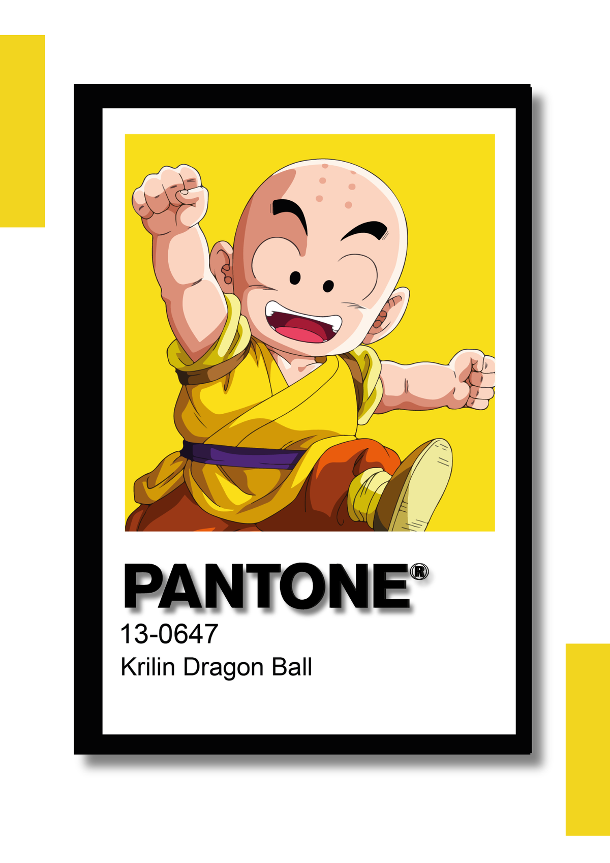 Cuadro Decorativo Pantone Krilin - Dragon Ball Z