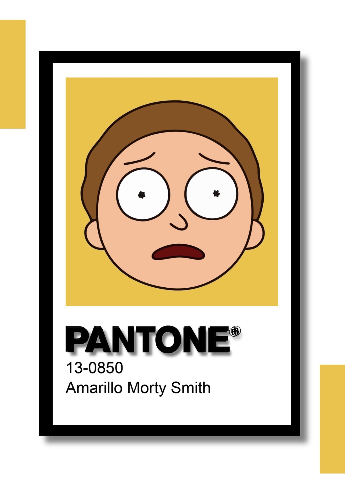 Cuadro Decorativo Pantone Rick and Morty