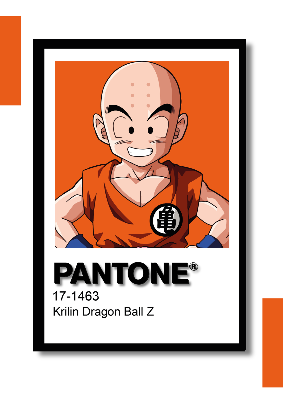 Cuadro Decorativo Pantone Krilin - Dragon Ball Z