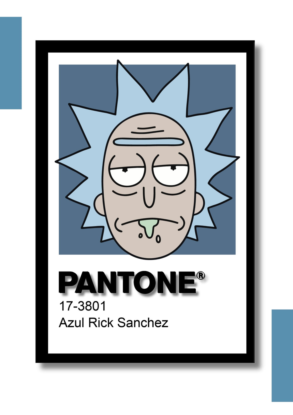 Cuadro Decorativo Pantone Rick and Morty
