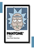 Cuadro Decorativo Pantone Rick and Morty