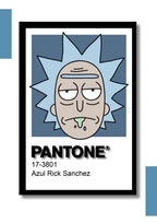 Cuadro Decorativo Pantone Rick and Morty