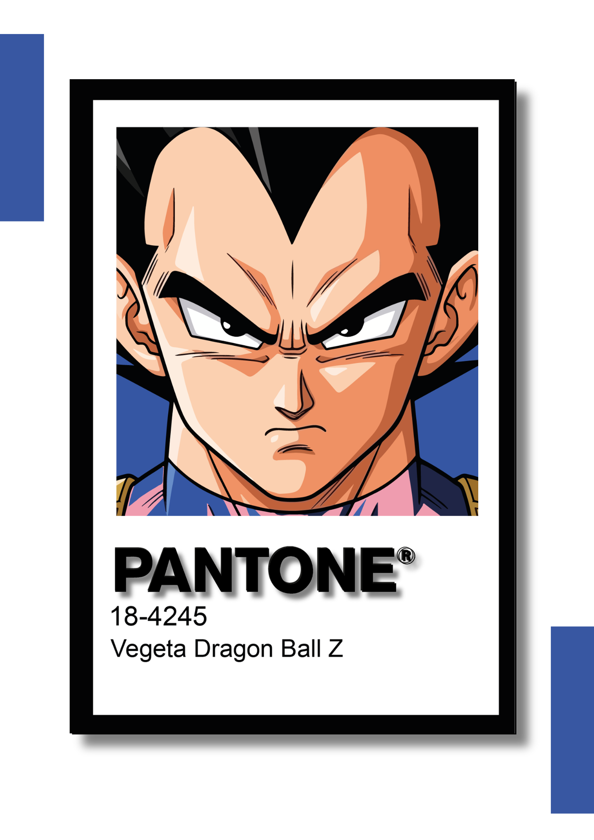 Cuadro Decorativo Pantone Vegeta - Dragon Ball Z