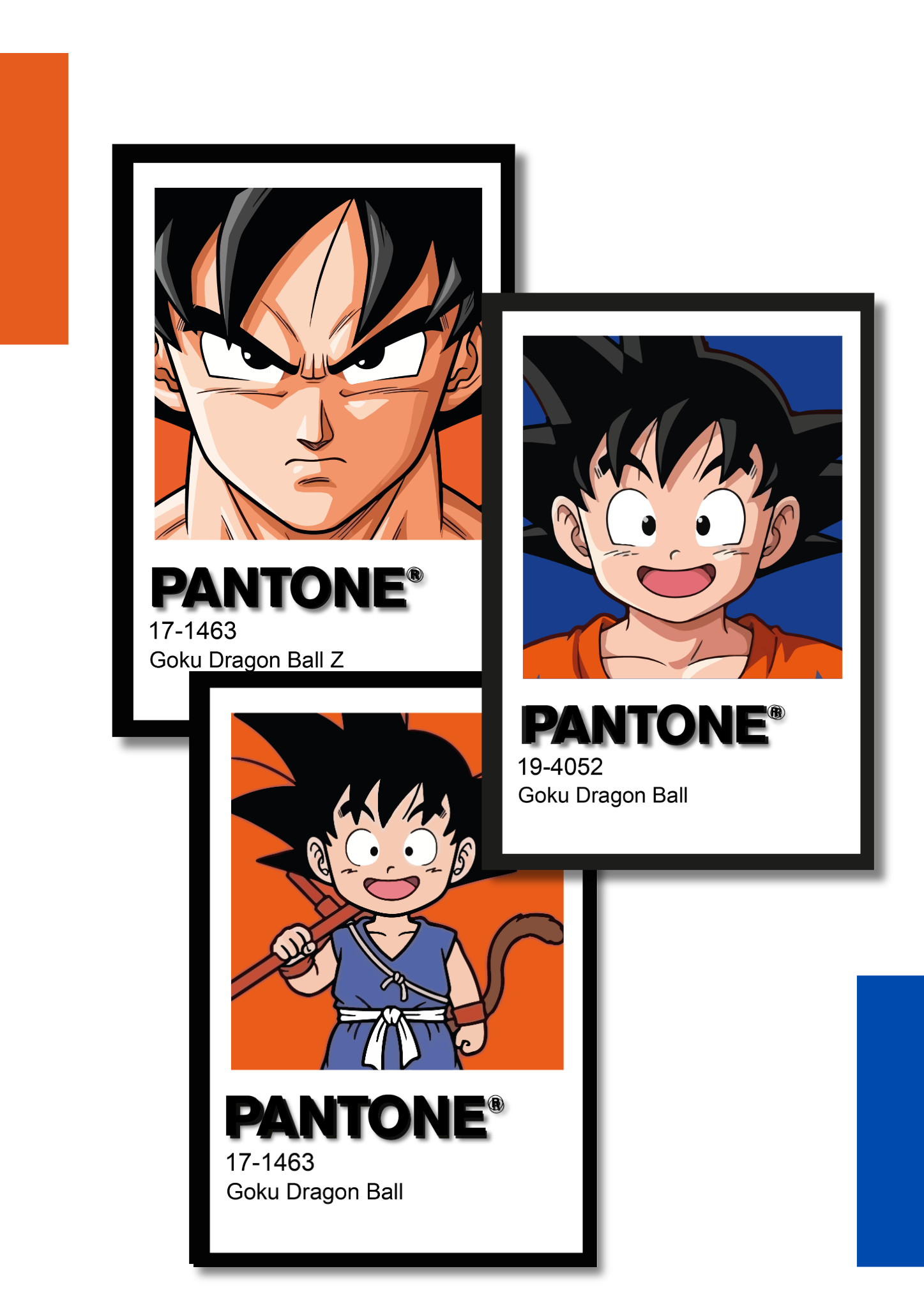 Combo 3 Cuadros Pantone a Elección