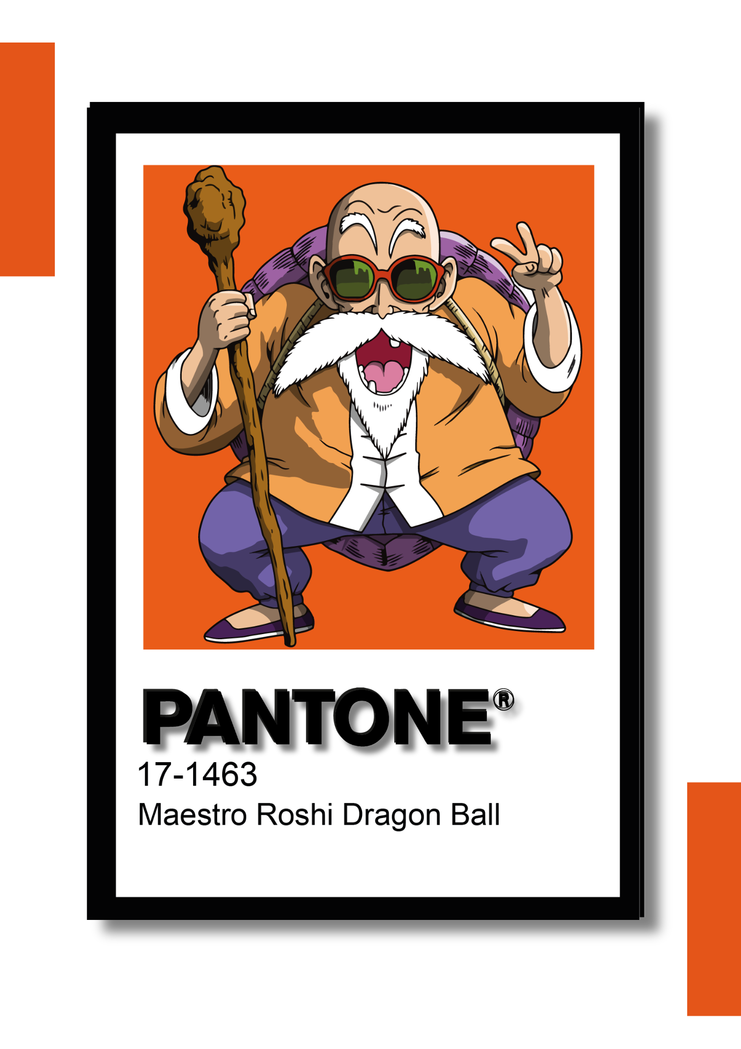 Cuadro Decorativo Pantone Maestro Roshi – Dragon Ball