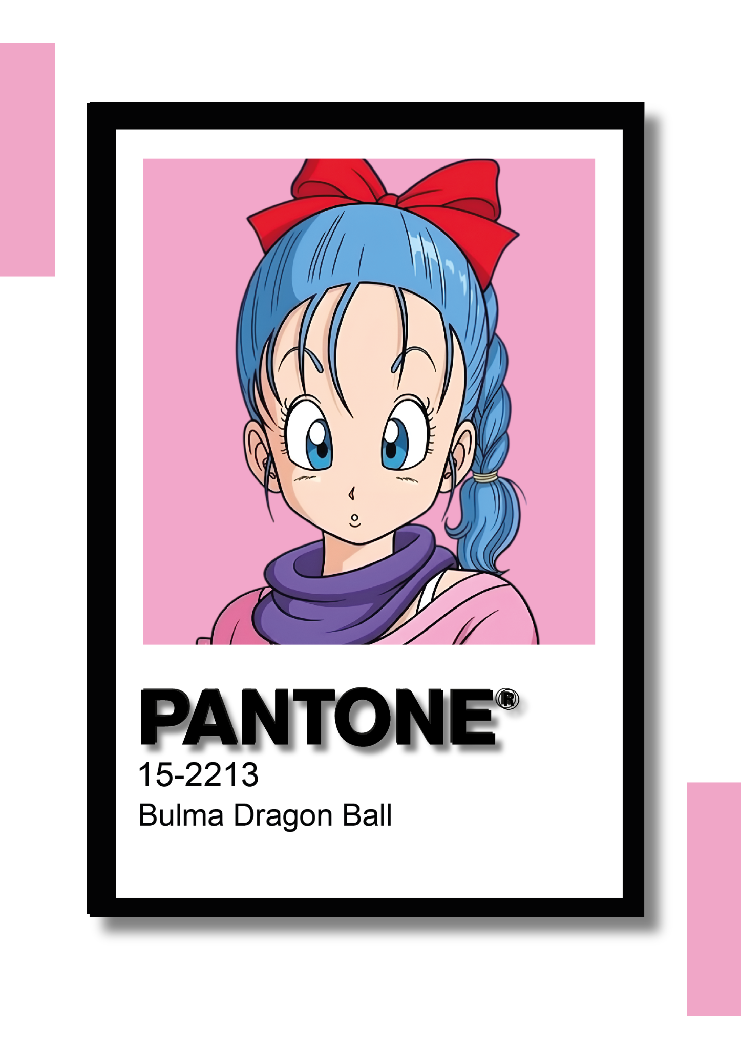 Cuadro Decorativo Pantone Bulma – Dragon Ball