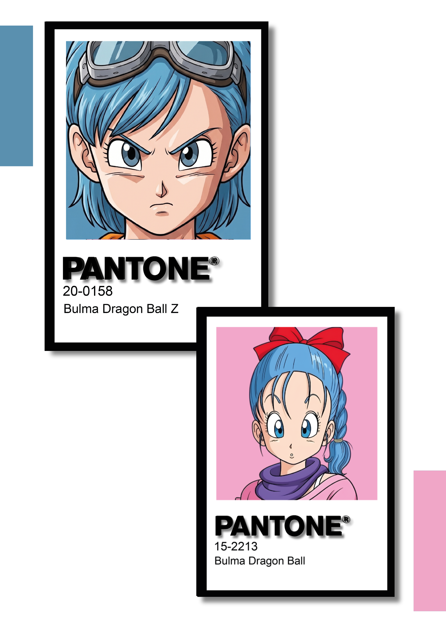 Cuadro Decorativo Pantone Bulma – Dragon Ball