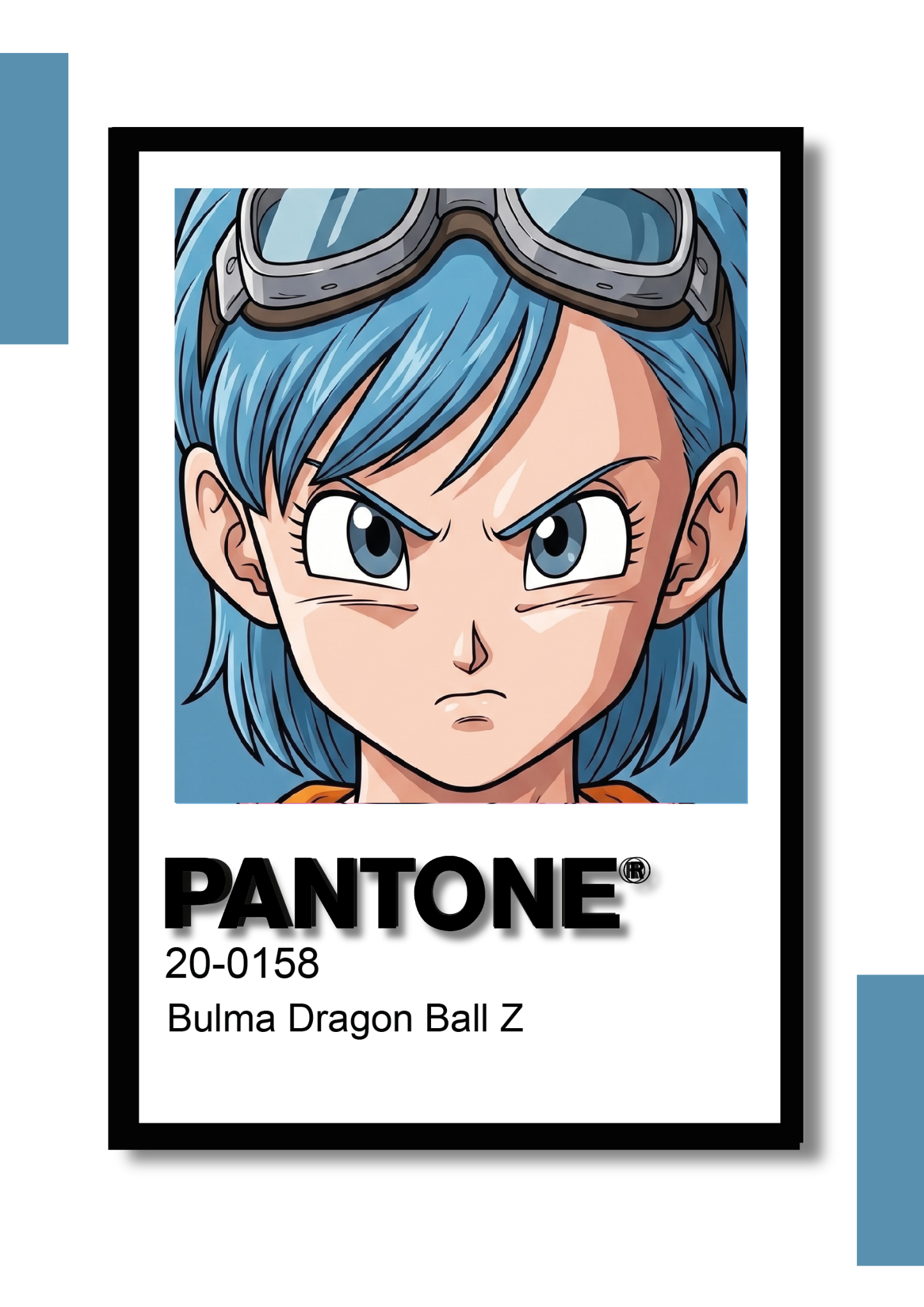Cuadro Decorativo Pantone Bulma – Dragon Ball