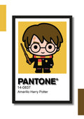 Cuadro Decorativo Pantone Harry Potter – Diseño Individual