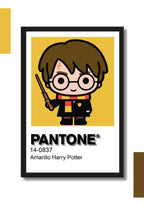Cuadro Decorativo Pantone Harry Potter – Diseño Individual