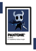 Cuadro Decorativo Pantone El Caballero – Hollow Knight