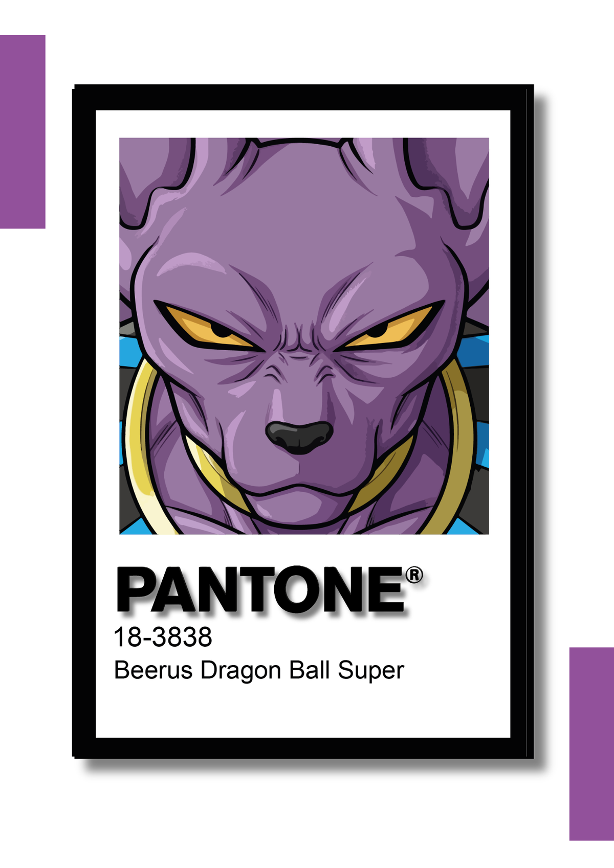 Cuadro Decorativo Pantone Bills – Dragon Ball Super