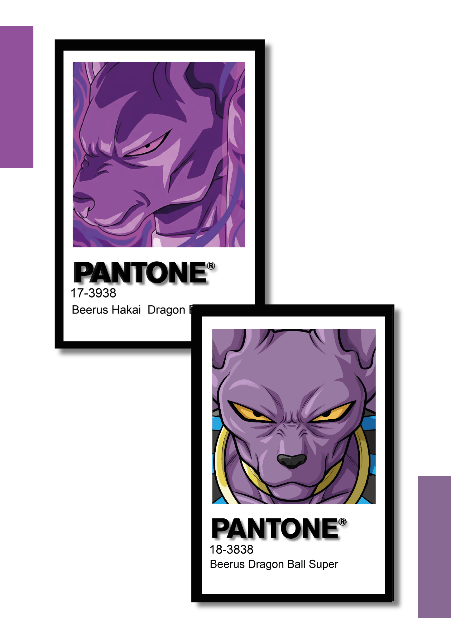 Cuadro Decorativo Pantone Bills – Dragon Ball Super