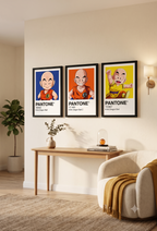 Cuadro Decorativo Pantone Krilin - Dragon Ball Z