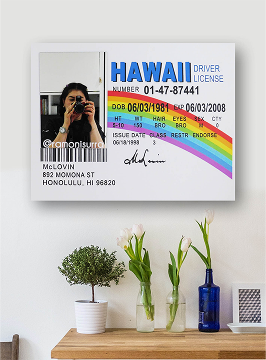 Cuadro carnet McLovin con Espejo