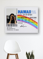 Cuadro carnet McLovin con Espejo